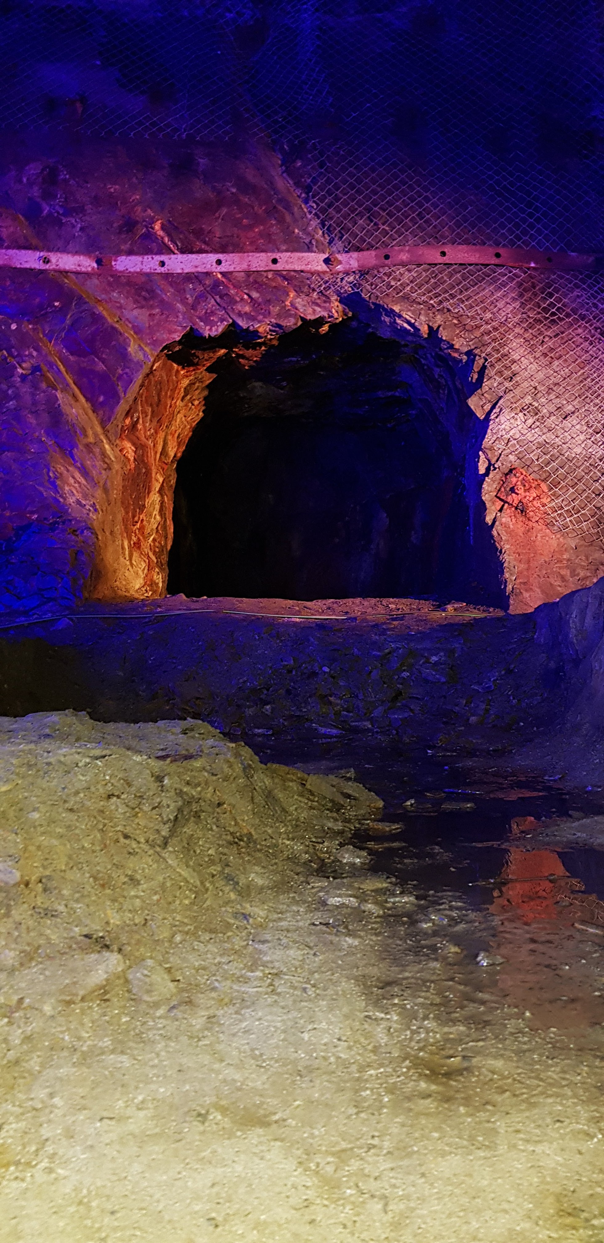 Photo n° 4 de l'avis de Yann.o fait le 30/09/2019 à 10:37