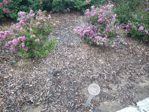 Park «The Crape Myrtle Trails of McKinney», reviews and photos, 6452 Collin McKinney Pkwy, McKinney, TX 75070, USA