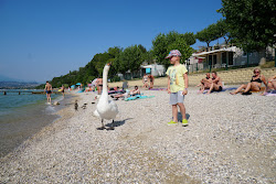 Foto di Spiaggia porto di Pacengo #alt_locality_no