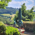 Photo n°3 de l'avis de natascha.a fait le 08/06/2023 à 17:47 sur le  Waldrestaurant Zähringer Burg - Freiburg im Breisgau à Freiburg im Breisgau