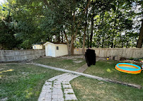 The Tree Masters - Photo 9 - Car repair in , Newport News