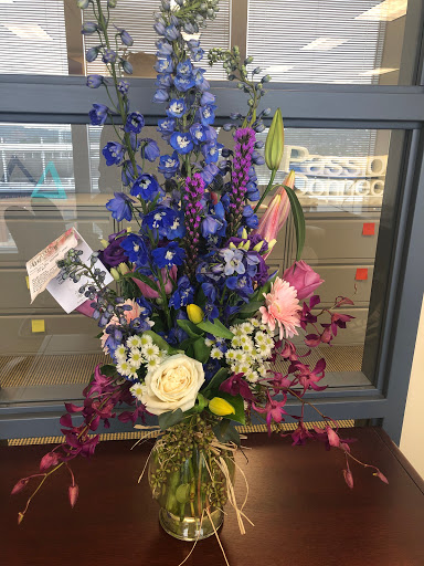 Florist «Adrian Durban Florist», reviews and photos, 3401 Clifton Ave, Cincinnati, OH 45220, USA