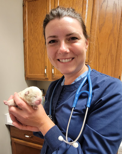 Downtown Veterinary Hospital image