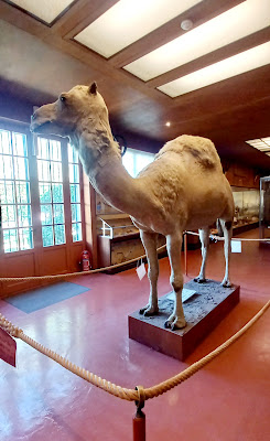 Musée Africain à Île-d'Aix