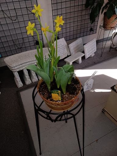 Florist «Gallatin Flower & Gift Shoppe», reviews and photos, 213 W Main St, Gallatin, TN 37066, USA