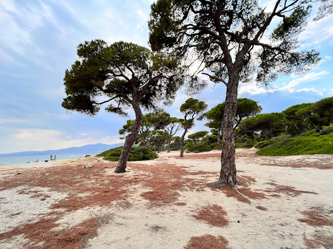 Εθνικό Πάρκο Σχινιά Μαραθώνα