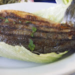 Photo n°5 de l'avis de Manuela.a fait le 18/10/2021 à 16:35 sur le  Ristorante Santa Lucia da Biagio à Maratea