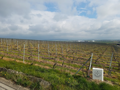 attractions Champagne Taittinger - Visites des Caves Reims