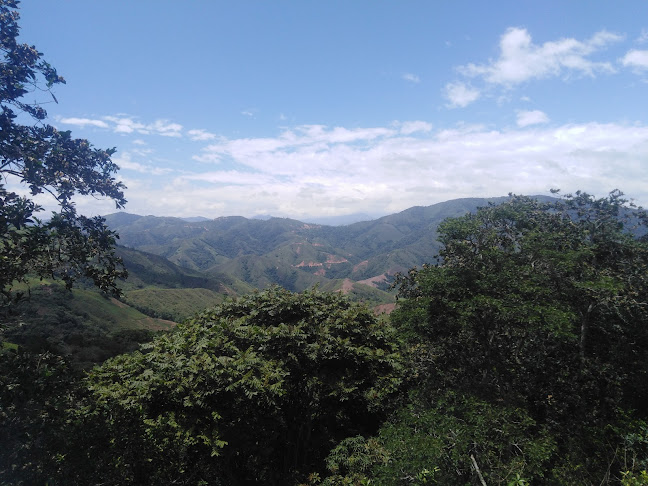 Opinii despre YAGUACHI - LOJA - ECUADOR în Chaguarpamba - Oficina de empresa