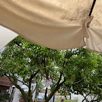 Photo n°9 de l'avis de Nicola.r fait le 06/06/2021 à 17:12 sur le  La Contrada di Tony Ristorante & Pizzeria à Pozzuoli