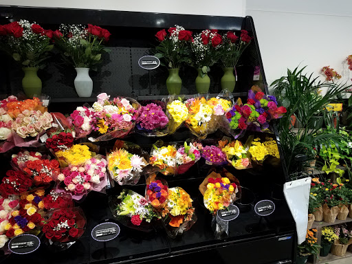 Grocery Store «Food Lion», reviews and photos, 5209 Plaza Dr, Hopewell, VA 23860, USA