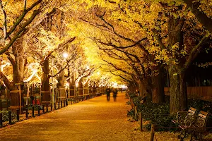 Meiji Jingu Gaien Ginkgo Avenue image