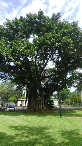 Community Center «Sunkist Grove Community Center», reviews and photos, 12500 NW 13th Ave, North Miami, FL 33167, USA