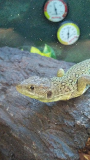 Pet Supply Store «Petco Animal Supplies», reviews and photos, 190 Quality Dr, Hooksett, NH 03106, USA