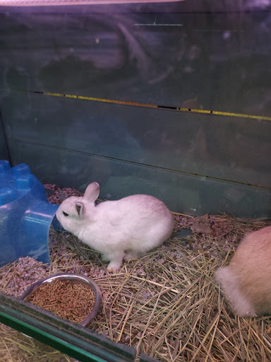 Pet Supply Store «Atlas Pet Supply», reviews and photos, 1798 Market Dr, Stillwater, MN 55082, USA