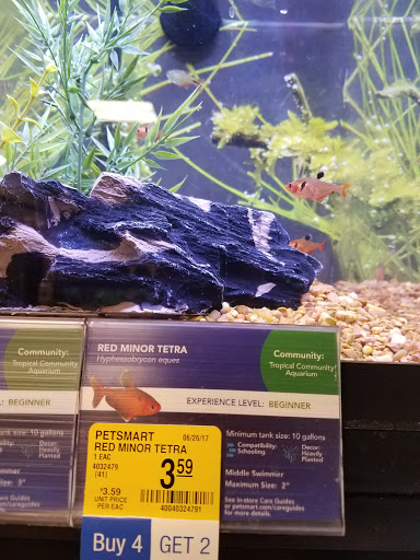 Pet Supply Store «PetSmart», reviews and photos, 2770 FM 365 c, Port Arthur, TX 77640, USA