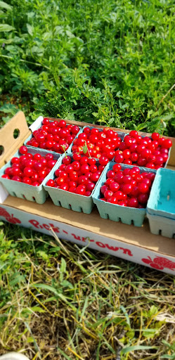 Produce Market «Berry Patch Farms», reviews and photos, 13785 Potomac St, Brighton, CO 80601, USA