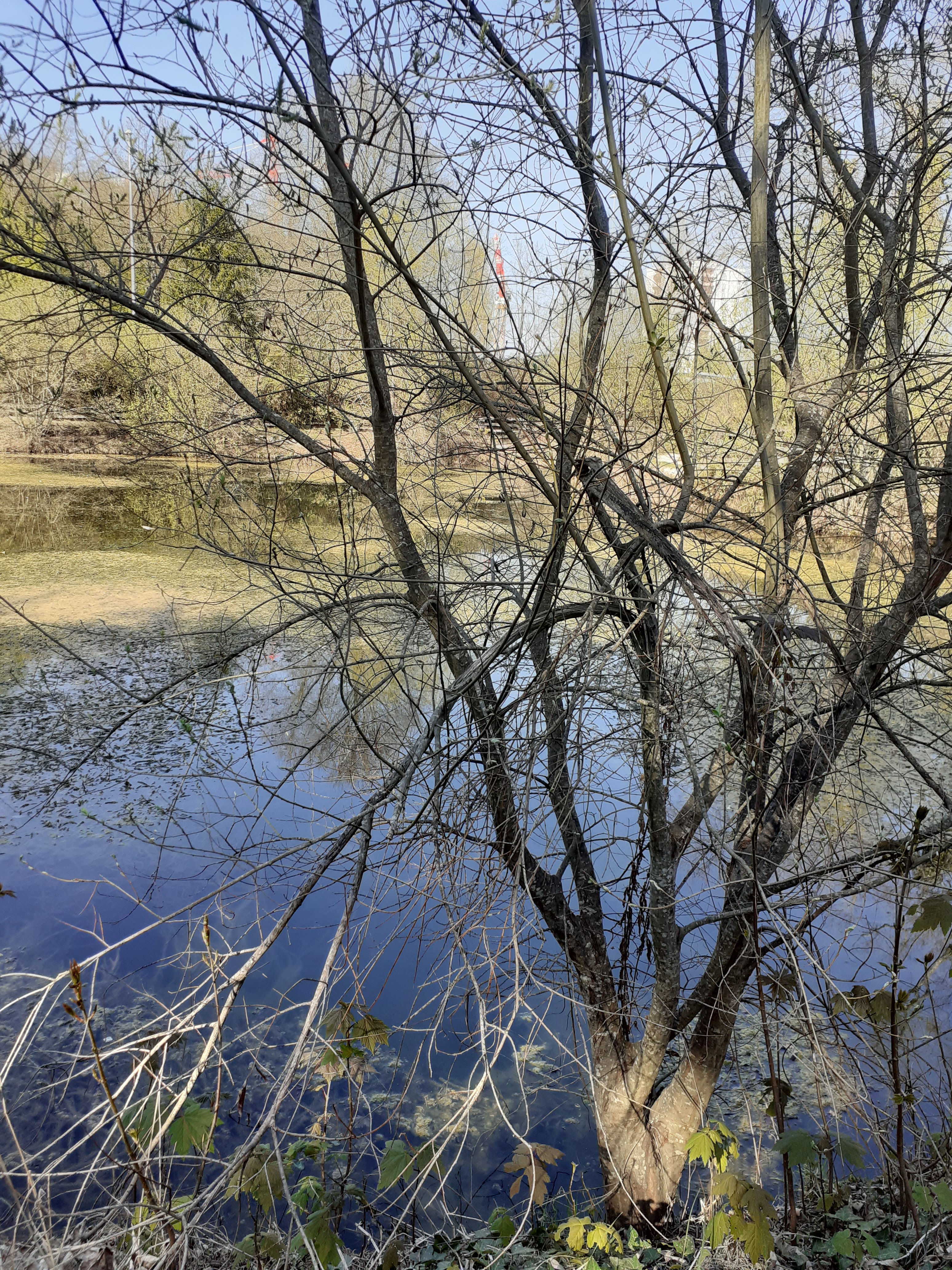 Photo n° 1 de l'avis de Marie-Claude.E fait le 05/10/2018 à 17:55