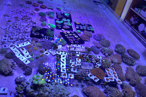 Aquarium Xpress image