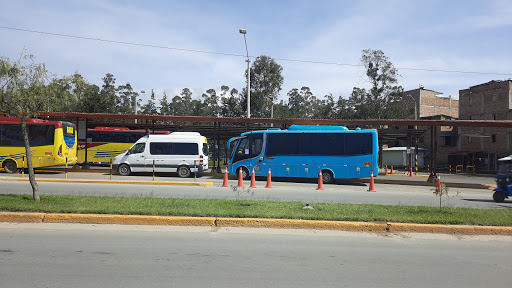 Servicio de taxis Cajamarca
