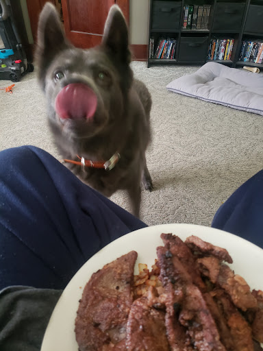 Animal Clinic of Mitchell image