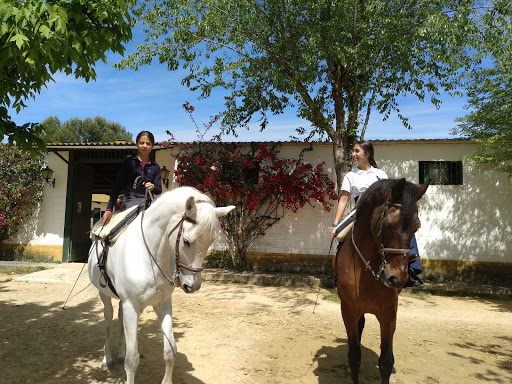 Escuela De Equitacion Al - Andalus