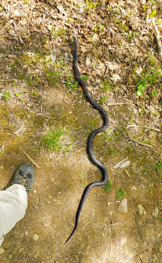 Nature Preserve «Kokiwanee Nature Preserve», reviews and photos, 5825 E 50 S, Lagro, IN 46941, USA