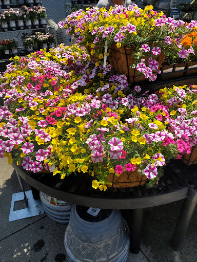 Discount Store «Walmart», reviews and photos, 285 N Plainfield Rd, West Lebanon, NH 03784, USA