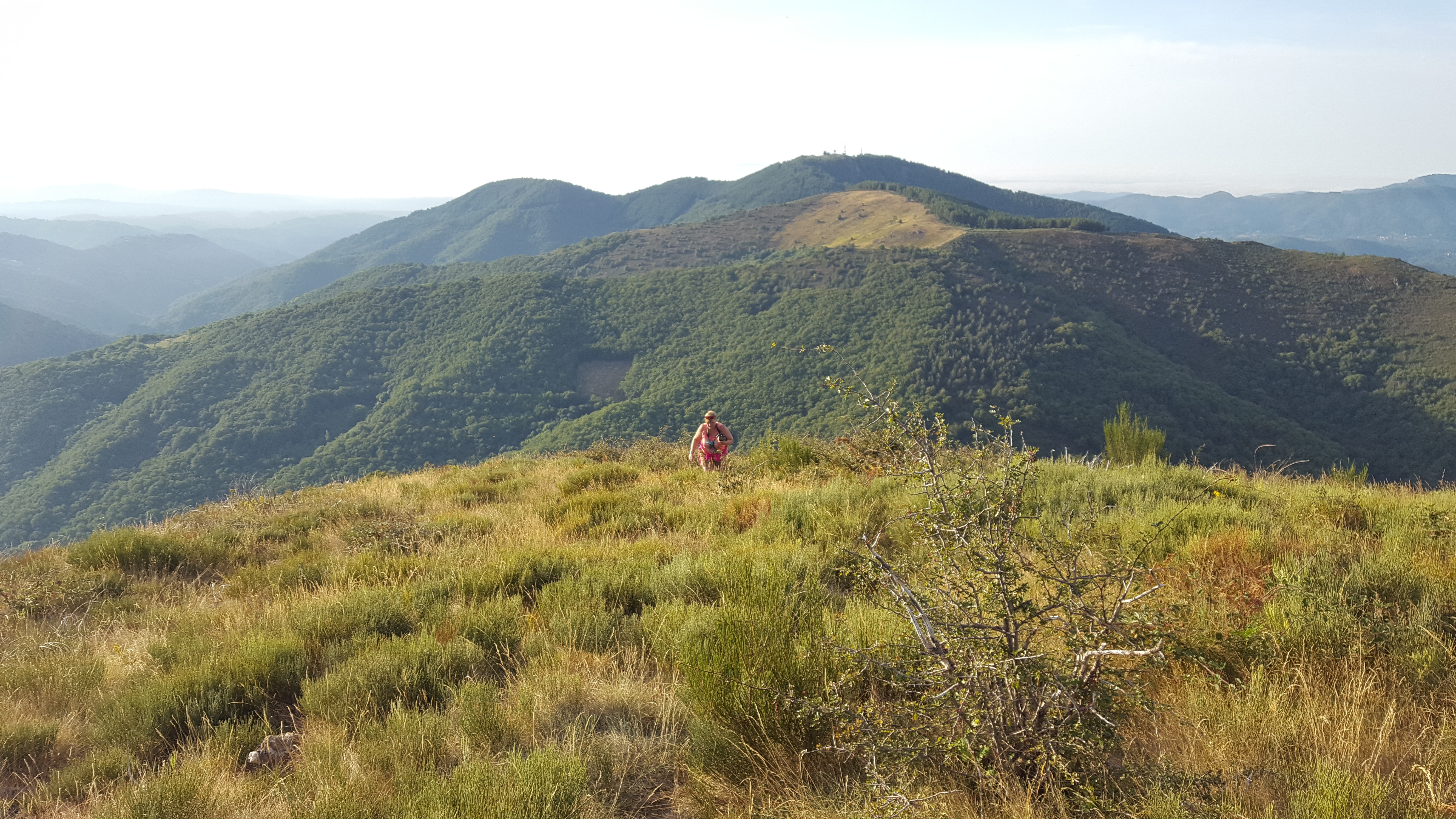 Photo n° 31 de l'avis de Joël.a fait le 24/08/2017 à 07:11
