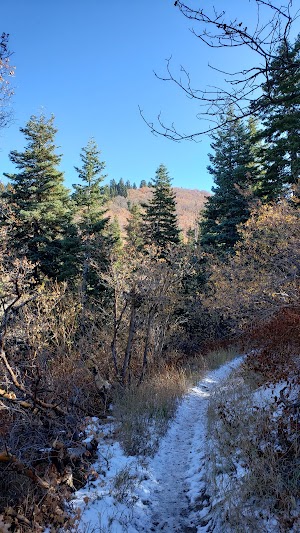 Mueller Park Picnic Area - photo 100