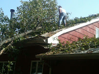 Evergreen Tree & Landscaping Company - Photo 4 - Car repair in , Boston