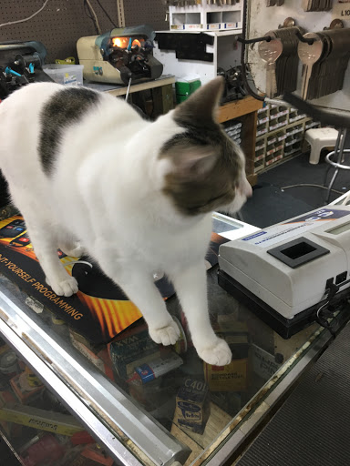 Hardware Store «Vickery Do it Best Hardware», reviews and photos, 881 Concord Rd SE, Smyrna, GA 30082, USA