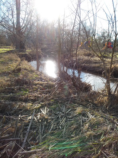 Gym «Franklin Park & Recreation», reviews and photos, 396 Branigin Blvd, Franklin, IN 46131, USA