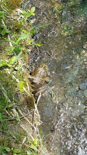 Park «A.B. Sawyer Park», reviews and photos, 9300 Whipps Mill Rd, Louisville, KY 40242, USA