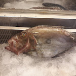 Photo n°1 de l'avis de Walter.e fait le 05/06/2019 à 05:08 sur le  Lungolanotte Restaurant Cafè à Syracuse