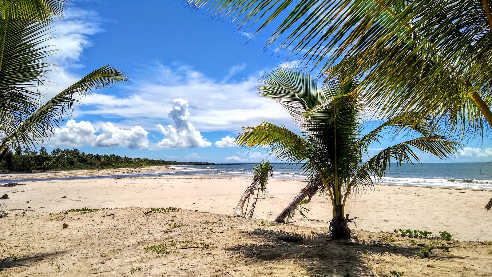 Foto van Praia de Pratigi met hoog niveau van netheid