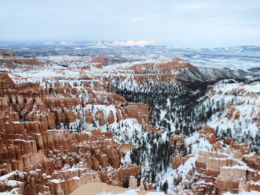 Casino «Gold Coast Hotel and Casino», reviews and photos, 4000 W Flamingo Rd, Las Vegas, NV 89103, USA