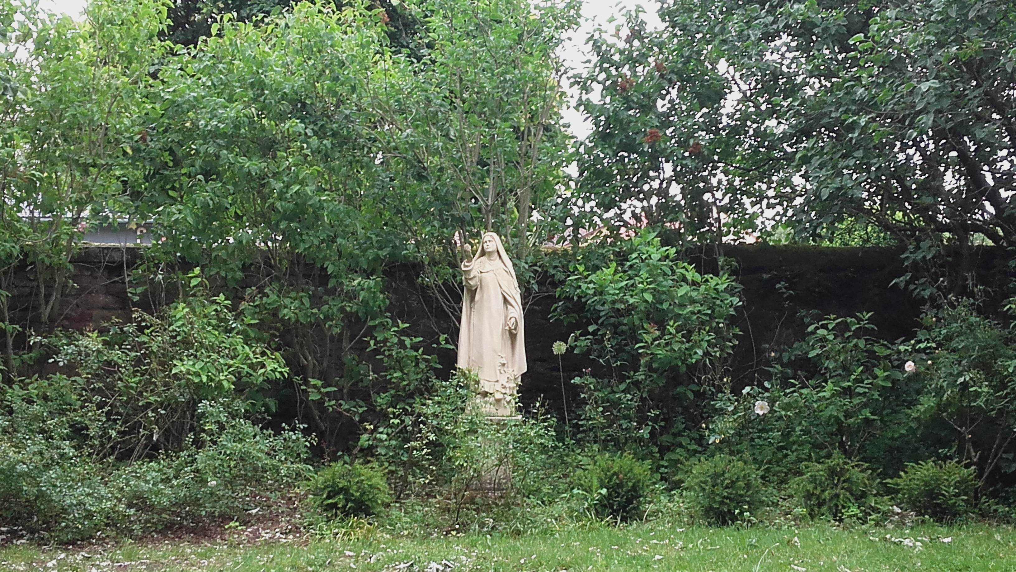 Photo n° 2 de l'avis de Dominique.E fait le 10/06/2019 à 17:13