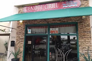 Cenote Grill image