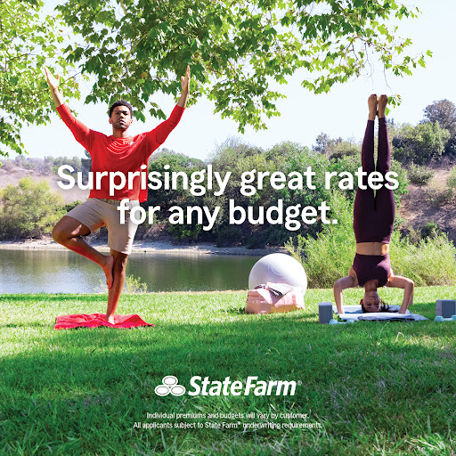 Insurance Agency «Michele Fanelli - State Farm Insurance Agent», reviews and photos