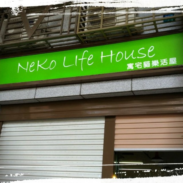 NeKo life house