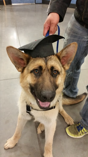 Pet Supply Store «PetSmart», reviews and photos, 1403 E Washington Ave, Union Gap, WA 98903, USA