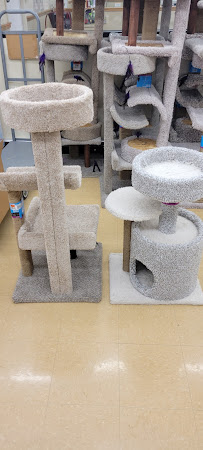 Pet Supplies Plus West Springfield - Photo 9 - Car repair in West Springfield, MA, Springfield