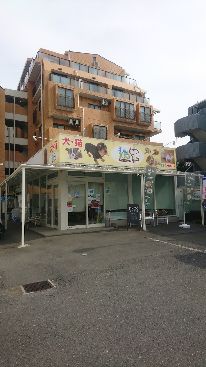 わん100 ワンハンドレッド 東戸塚店 神奈川県横浜市戸塚区名瀬町 ペットショップ ペット グルコミ