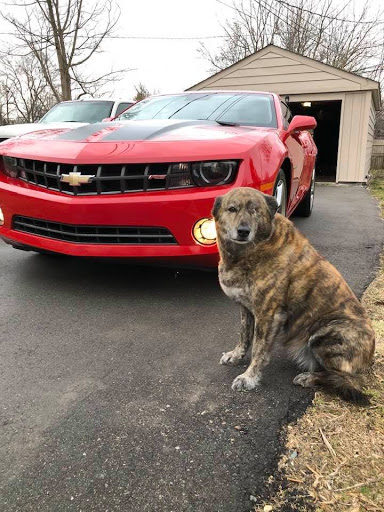 Used Car Dealer «Genesis Auto Sales Inc.», reviews and photos, 29187 Gratiot Ave, Roseville, MI 48066, USA