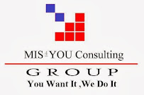 MIS 4 You Consulting Group Inc - Photo 5 - Car repair in San Juan, Puerto Rico, San Juan
