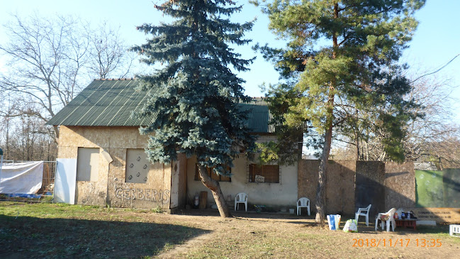 Cerberos Rehabilitációs központ és Kutyás Klub - Budapest