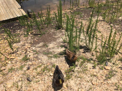 Electrician «Mr. Value Electricians», reviews and photos, 3840 Browns Bridge Rd #204, Cumming, GA 30041, USA