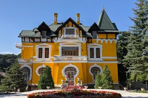 Dacha Tvalchrelidze image