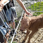 Photo n° 5 de l'avis de Denis.e fait le 13/08/2019 à 17:00 pour Buvette de Tueda à Les Allues